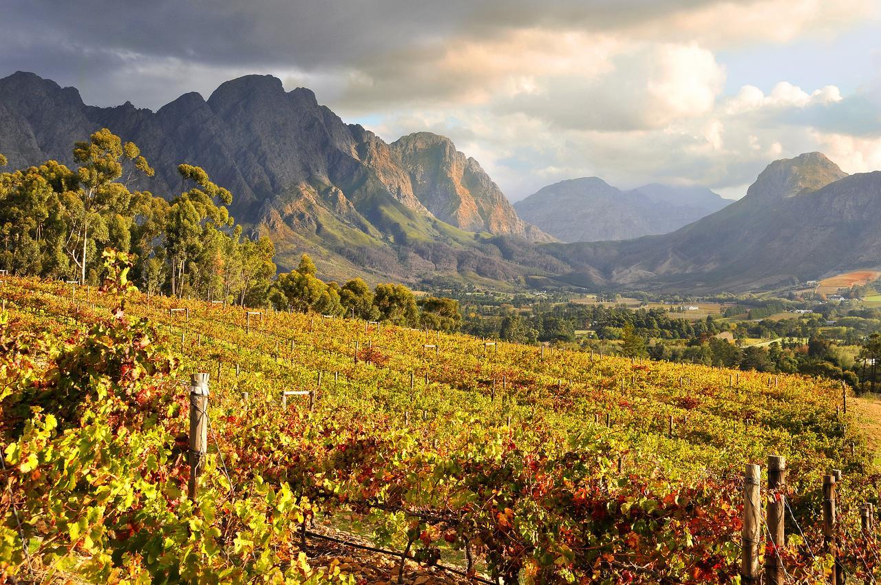 La Petite Ferme Hotel Franschhoek Buitenkant foto